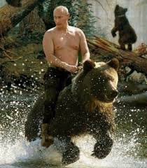 Russian bear